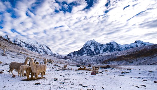 NEVADO DE AUSANGATE